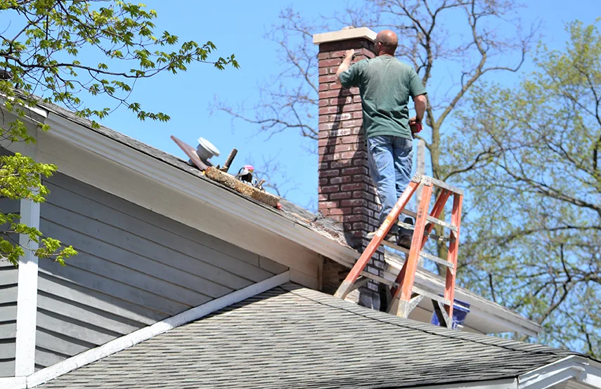 Chimney & Fireplace Inspections Services in Blytheville, AR